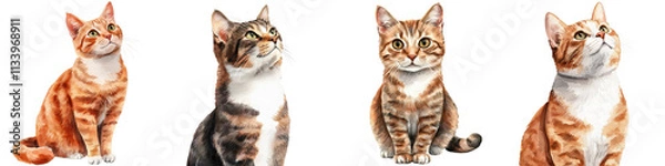 Fototapeta Charming Barn Cats in Cozy Countryside Watercolor Clipart   Adorable Feline Pets Sitting and Posing with Playful Curious Expressions in a Rustic Farm Setting