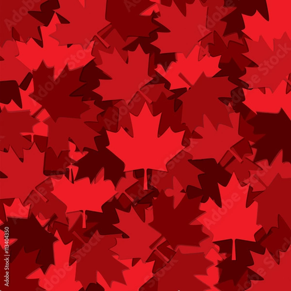 Obraz Canadian Maple leaf scatter pattern in vector format.