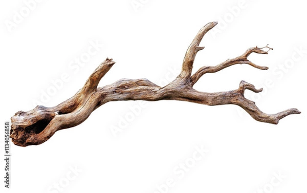 Fototapeta Weathered Tree Limb isolated on transparent Background