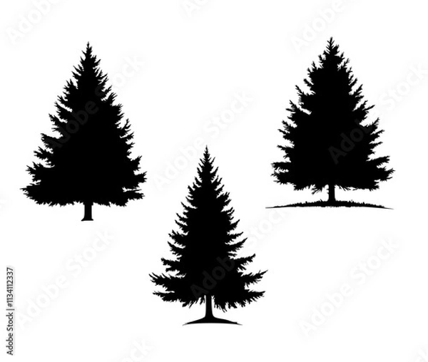 Fototapeta Nadelbaum