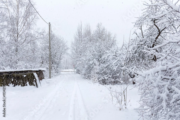 Obraz snowfall in spring