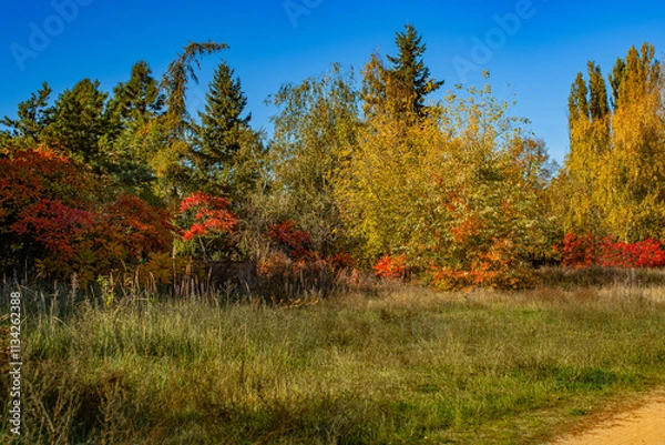 Obraz Kolory jesieni