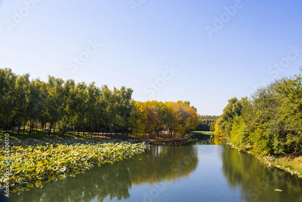 Obraz autumn in the olympic park china