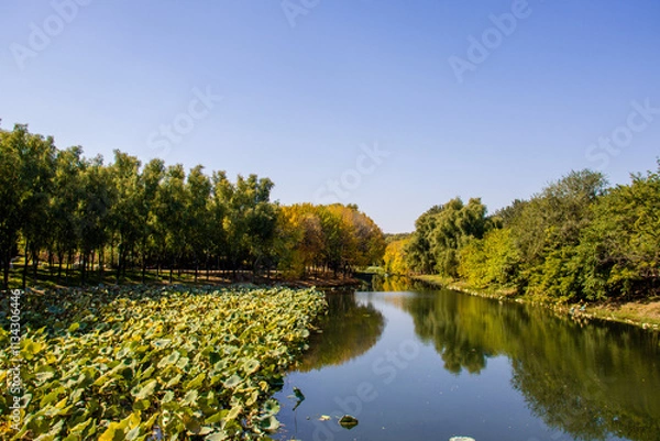 Obraz river in the park autumn china olympic park