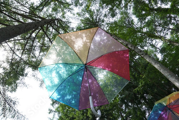 Fototapeta 空中のカラフルな傘
