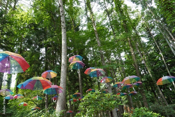 Fototapeta 空中のカラフルな傘