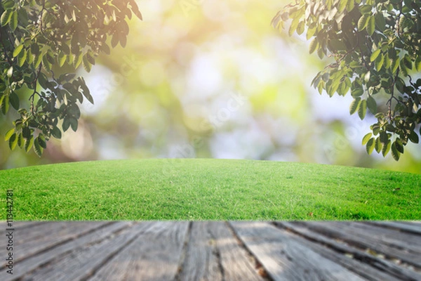 Fototapeta The bokeh and grass on background retouch