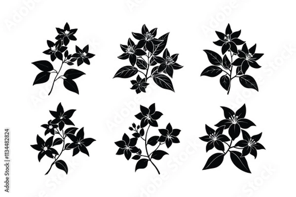 Fototapeta Jasminum sambac design, labeled silhouette, line art vector illustration. 