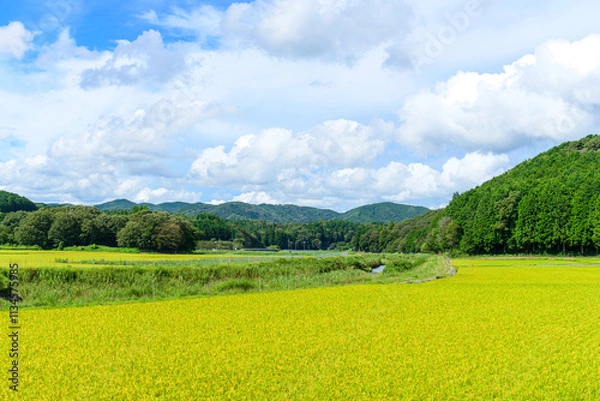 Obraz 愛知県新城市作手村の景色