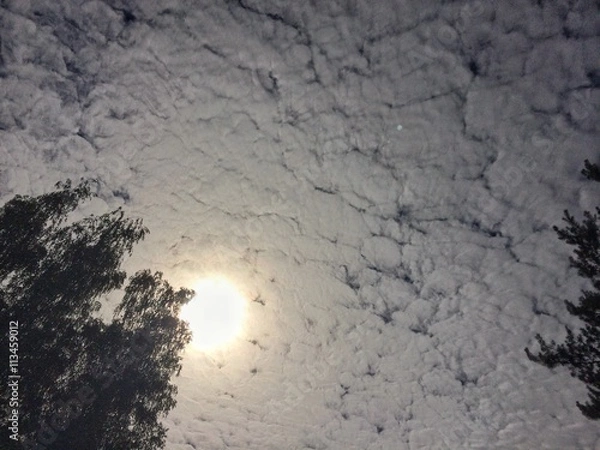 Fototapeta texture clouds sky