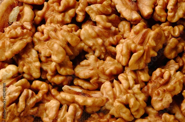 Obraz NUECES