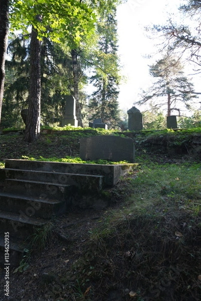 Fototapeta Republic of Karelia, Sortavala. The Old Finnish Cemetery
