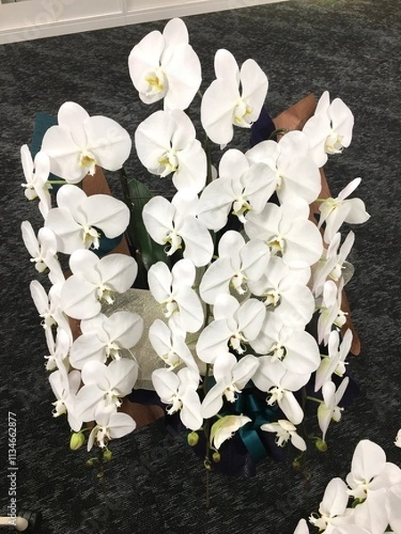 Fototapeta お祝い華