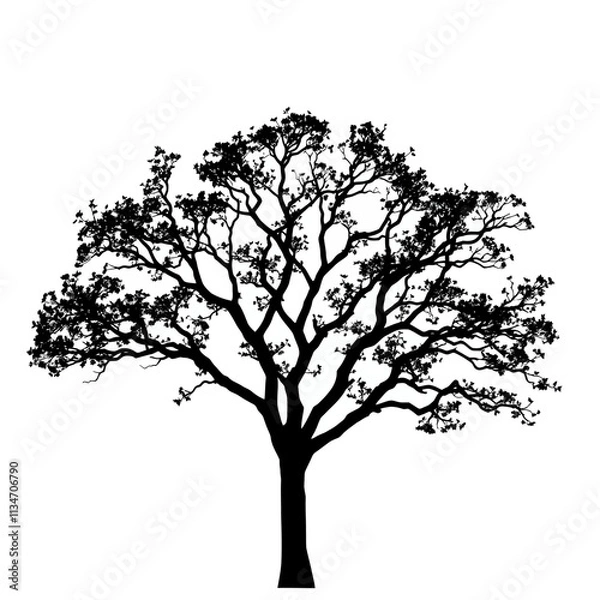 Fototapeta Black silhouette of a tree on white background