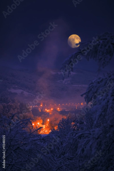 Obraz Moon at winter