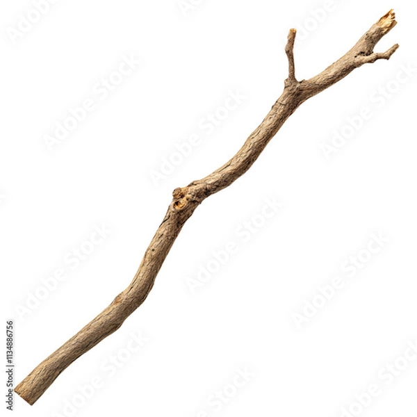 Fototapeta Single Branch, Dry, Wood, Texture, Rustic, Natural, Brown, Knot, Bark, Branch