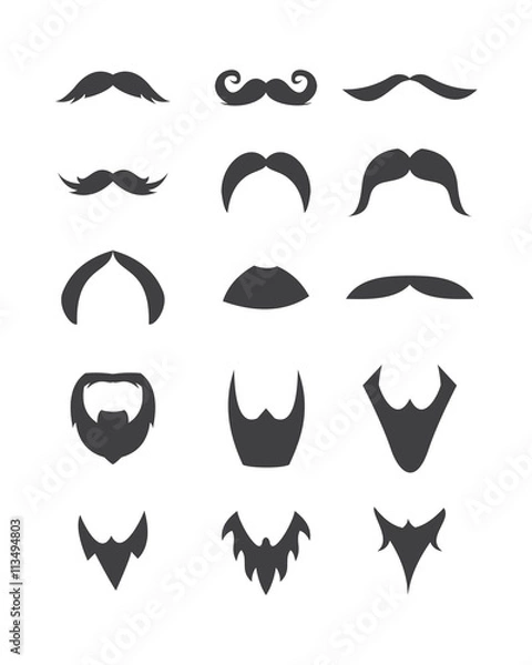 Fototapeta Mustache and beard