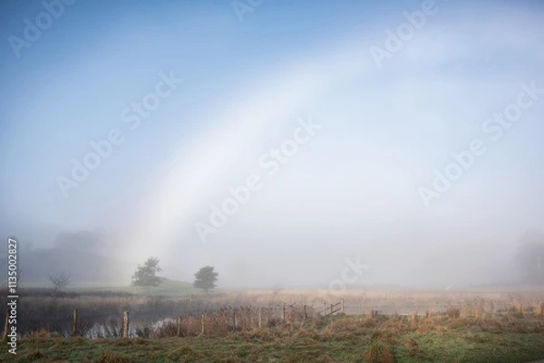 Fototapeta Beautiful atmospheric Autumn landscape image of rare fog bow over Elterwater riverbank with copse of trees