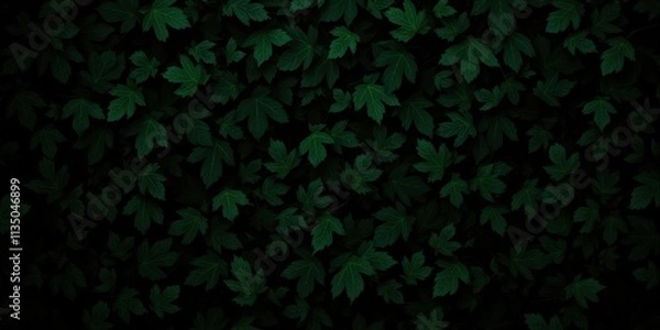 Fototapeta A Lush Canopy of Vibrant Green Leaves, Illuminated by a Gentle Light, Creating a Serene and Tranquil Atmosphere