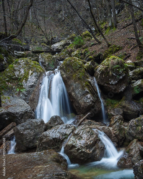 Obraz A waterfall flowing through the rocks in the forrest