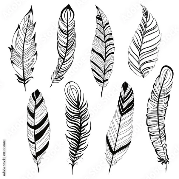 Fototapeta Vintage Bohemian Feather Big Set na białym tle ręcznie rysowanym ilustracji wektorowej. Szablon twojego projektu