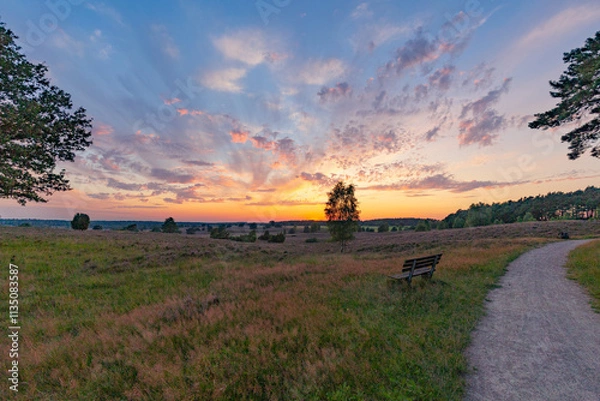 Obraz Farbenprächtiger Sonnenuntergang in der Lüneburger Heide bei Undeloh