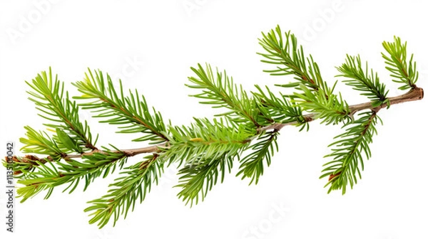 Obraz "Transparent PNG of Isolated Pine Leaves – Perfect for Nature and Design Projects"
"Clear PNG Image of Isolated Pine Tree Leaves – Ideal for Creative and Seasonal Designs"
