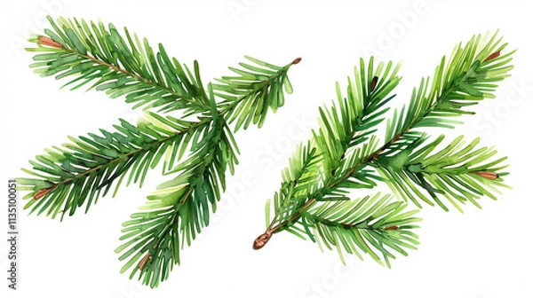 Obraz "Transparent PNG of Isolated Pine Leaves – Perfect for Nature and Design Projects"
"Clear PNG Image of Isolated Pine Tree Leaves – Ideal for Creative and Seasonal Designs"