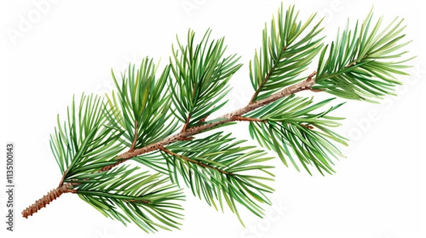 Obraz "Transparent PNG of Isolated Pine Leaves – Perfect for Nature and Design Projects"
"Clear PNG Image of Isolated Pine Tree Leaves – Ideal for Creative and Seasonal Designs"