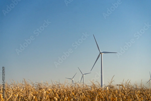 Fototapeta Wind Turbines Turning in Corn Field