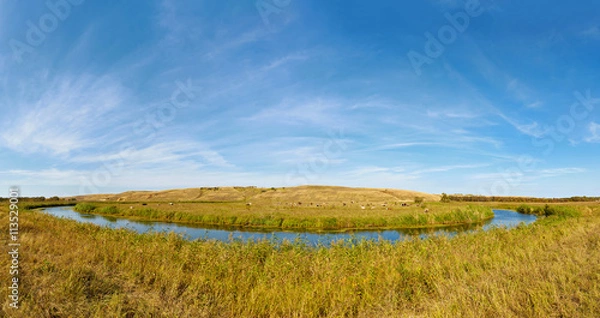 Fototapeta A small prairie river Big Melik. Cows graze on the banks. Sarato