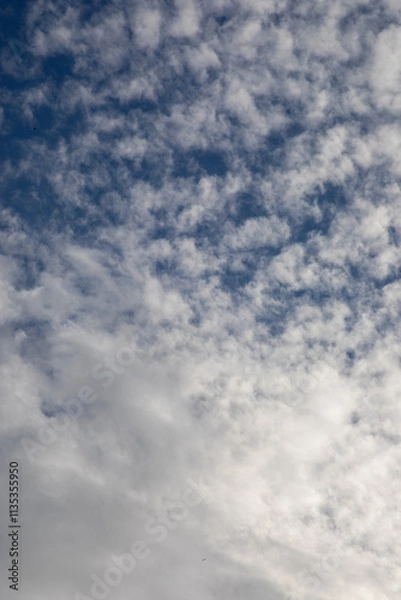 Obraz blue sky with clouds