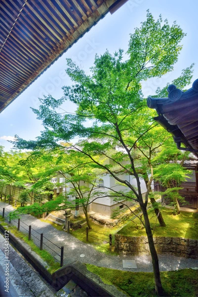 Fototapeta 永観堂の御影堂