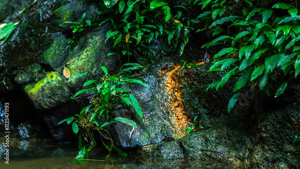 Obraz Moss-Covered Rocks with a Small Waterfall
