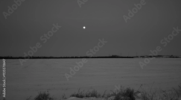 Obraz The full moon over a farmers field