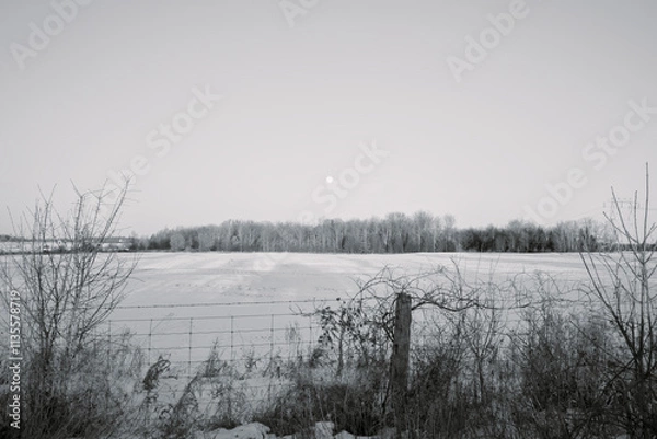 Obraz The full moon over a farmers field