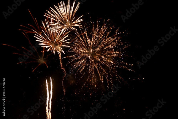 Fototapeta fireworks in the sky