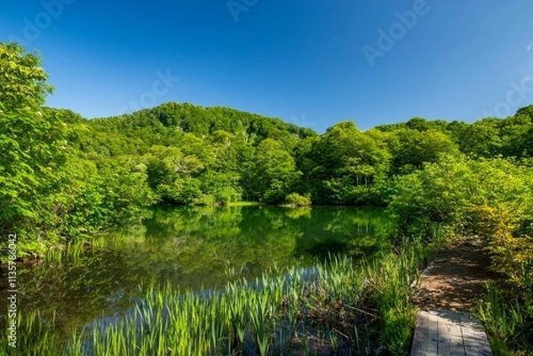 Obraz 新緑の鎌池（小谷村）