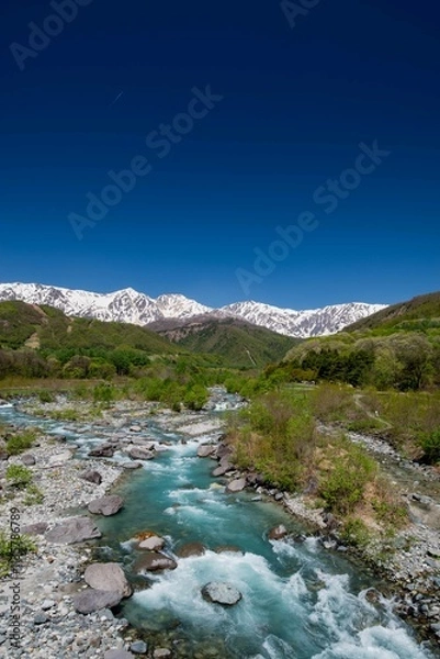 Obraz 白馬三山と清流松川（新緑期）