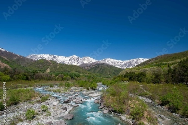 Obraz 白馬三山と清流松川（新緑期）