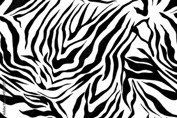 Fototapeta Zebra pattern image