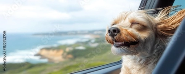Obraz Close-up of dog s face in the wind, head out of car window, ocean coast landscape in the background, joyful and carefree, Dog Head Out Car Window