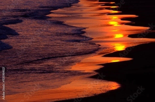 Fototapeta 夕日を映す海