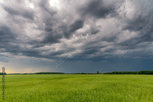 Obraz Grosse tempête en préparation avec ciel nuageux menaçant et bas sur l'horizon des champs