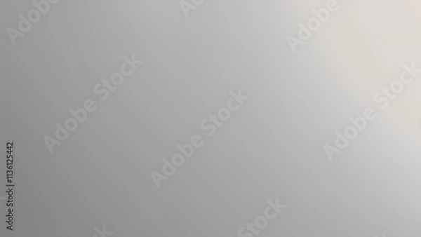Obraz Abstract combination of gray gradient background