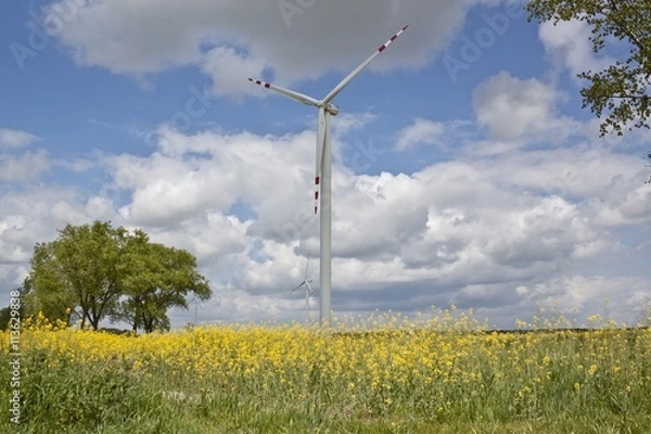 Obraz Wind turbines