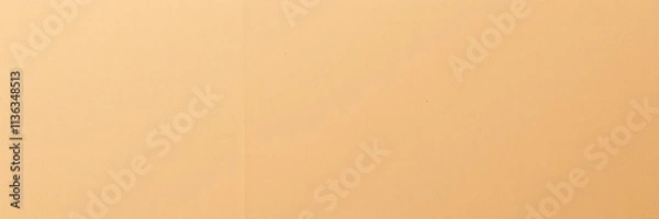 Fototapeta Light brown kraft paper texture banner background with rough textured surface, surface, texture, rough