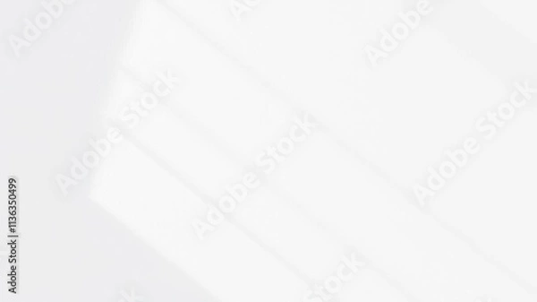 Fototapeta Realistic shadow effect of a plant casting onto a plain white wall background, texture, aesthetic, graphic