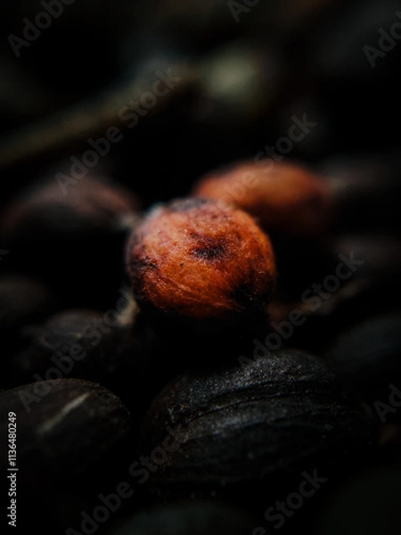 Fototapeta Macro Close-Up of Fresh Coffee Beans