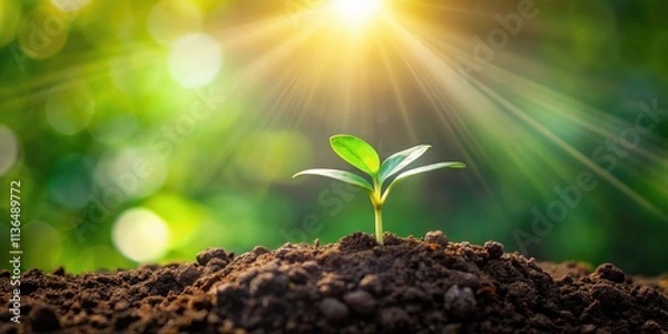 Fototapeta A tiny seedling reaches for sunlight, a symbol of growth and new beginnings in a vibrant natural environment